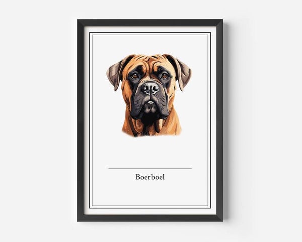 Boerboel