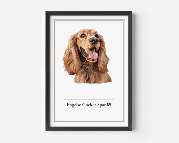 Engelse Cocker Spaniël