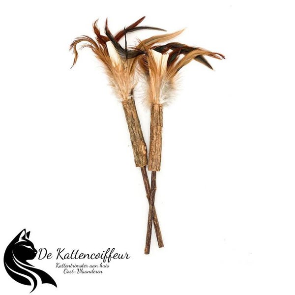 Matatabi stok met pluimpjes