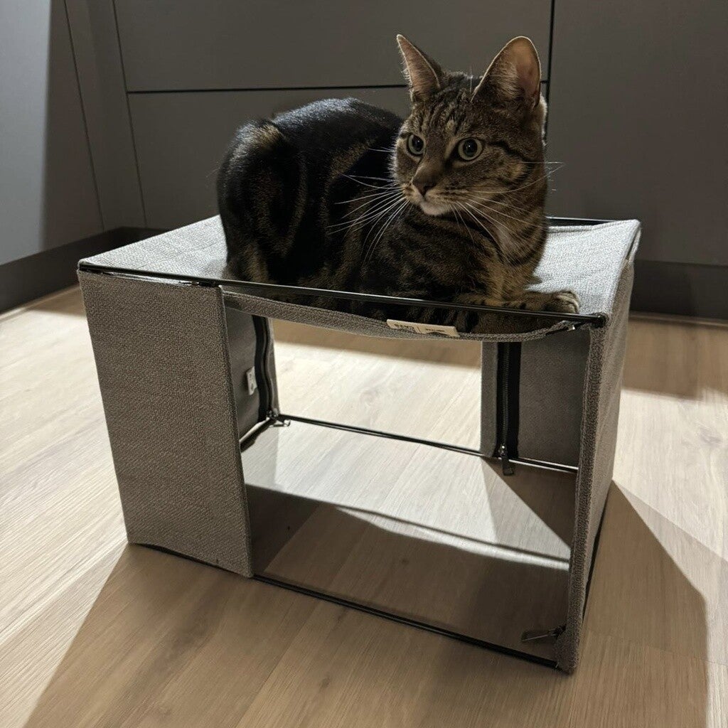 ODILLIA schuil- en ligplaats