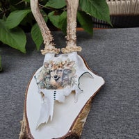 img-20250701-wa0013-standard-psaxb8.jpg