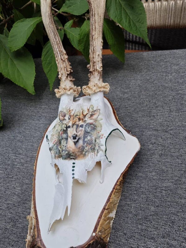 Rehgehörn mit Hirschmotiv und halber Nase