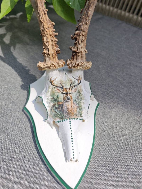 Rehgehörn Grün mit Hirschmotiv