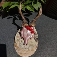 img-20250701-wa0048-standard.jpg