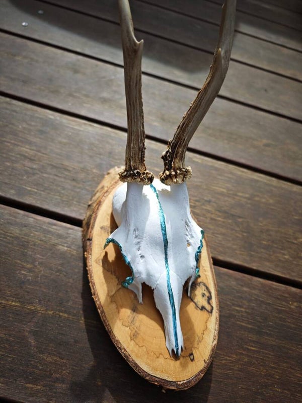 Rehgehörn Blue Metallic