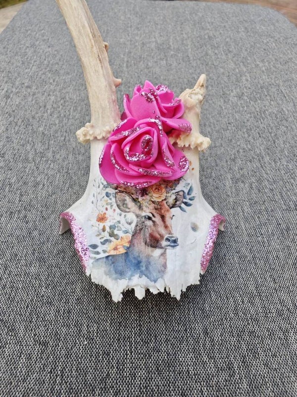 Rehgehörn Rose/Rehschädel