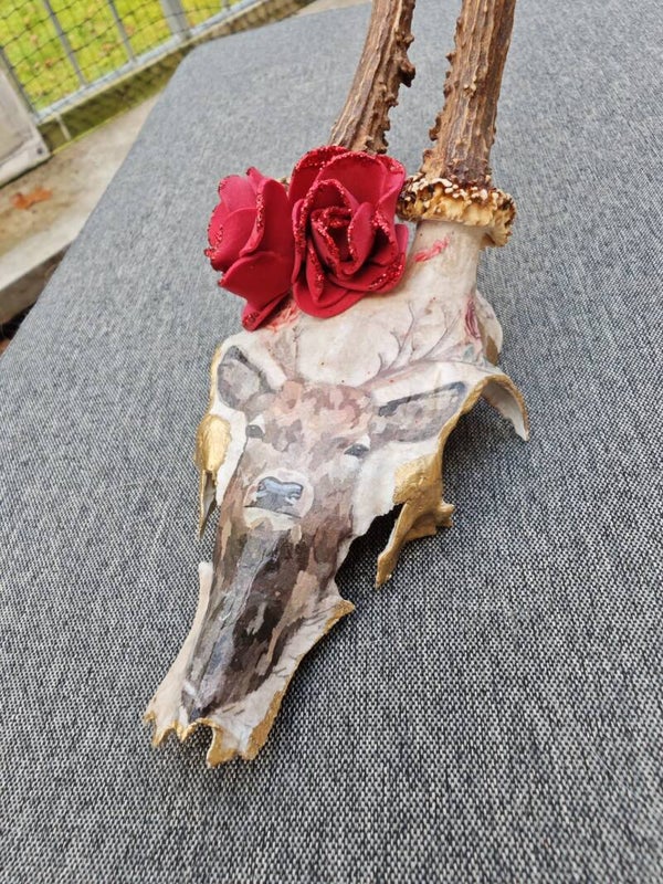Rehgehörn Gold Rose