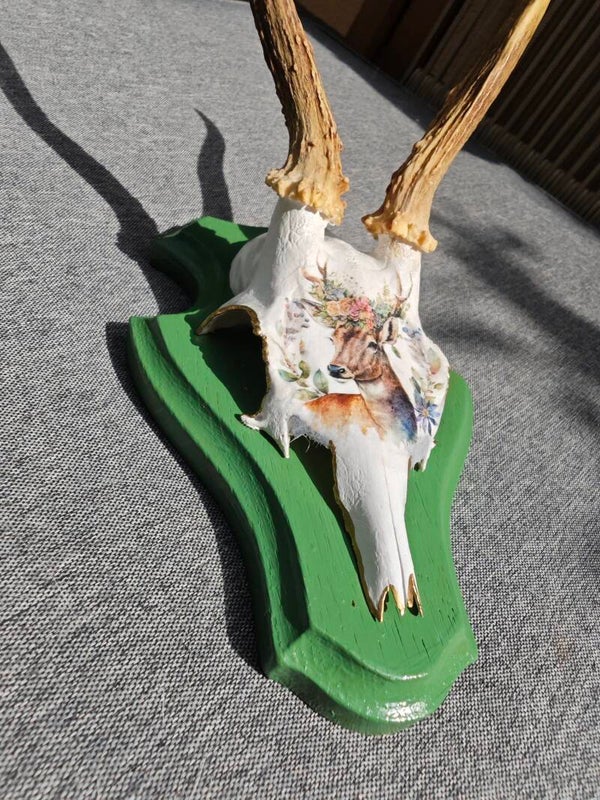 Rehgehörn Rehmotiv auf Grün