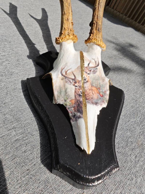 Rehgehörn mit doppelten Hirschmotiv auf schwarz