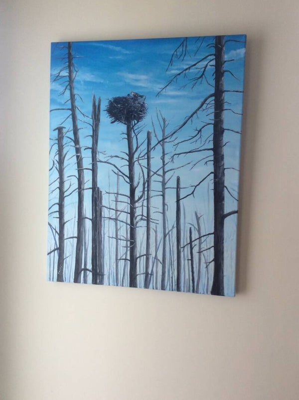 Tableau 22 x 28