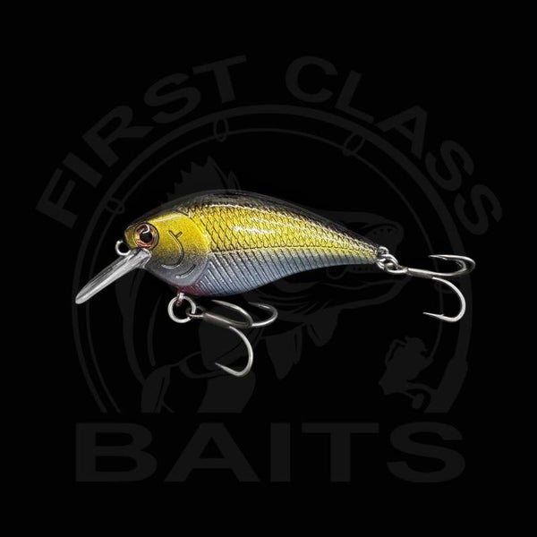 Classy Crank 60F Ayu Sp.