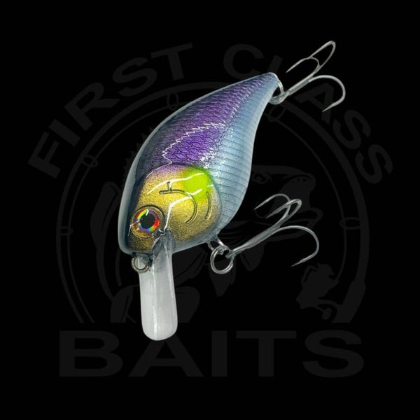 Classy Crank 60F Purple Rain UV Pointer