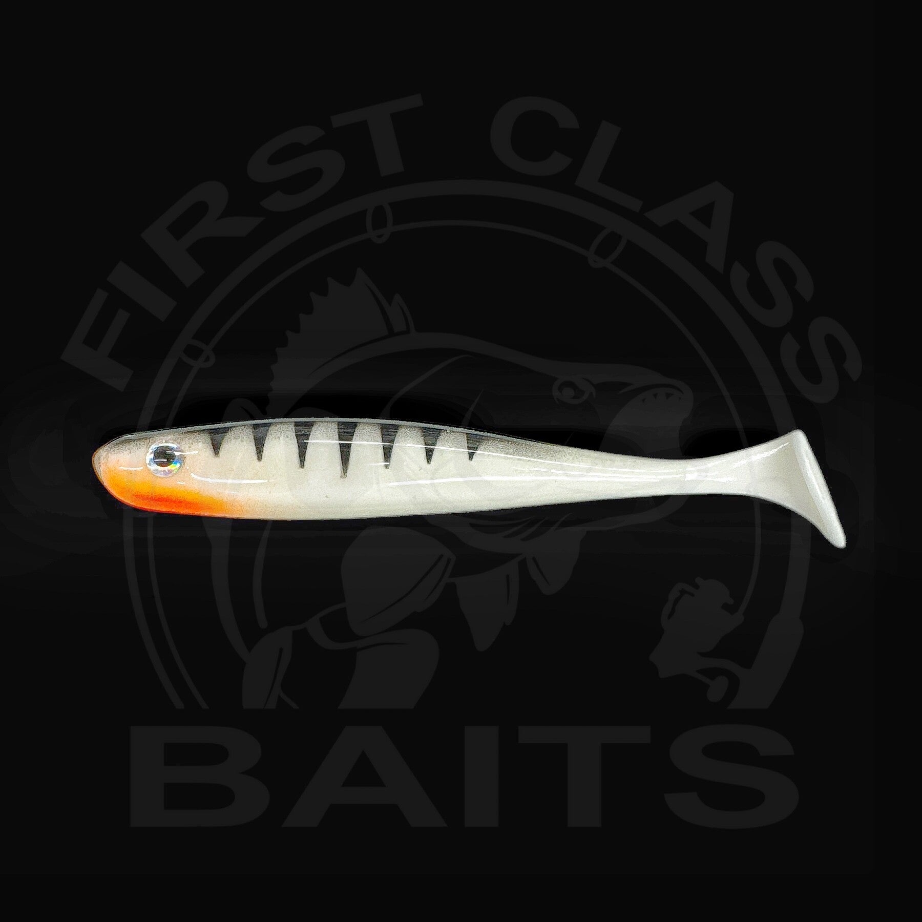 Classy Shiner White Perch UV