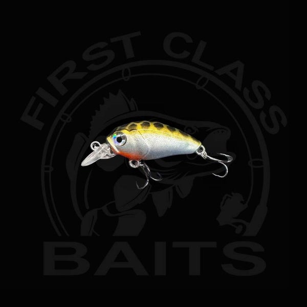 Classy Crank 35F FCB Special