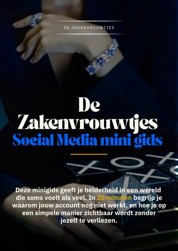 De Zakenvrouwtjes Social Media mini gids