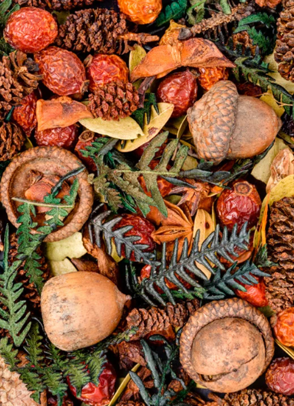 DI 28/10 - 14u Workshop: Herfstige potpourri