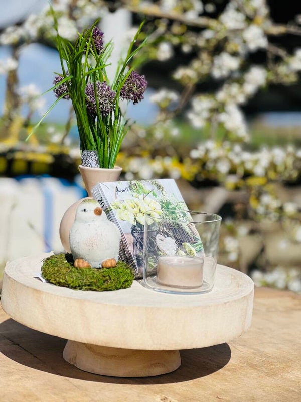 Lenteschaal vogeltje