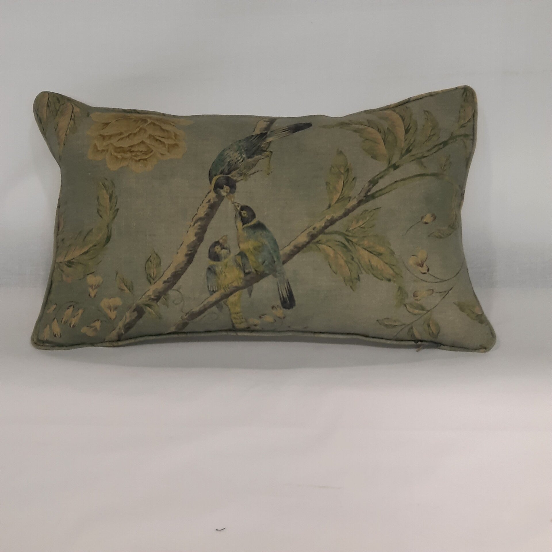 Cojín Coventry 55x35