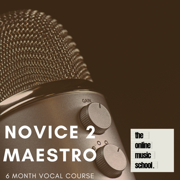 Novice 2 Maestro Vocals Course (6 Months)