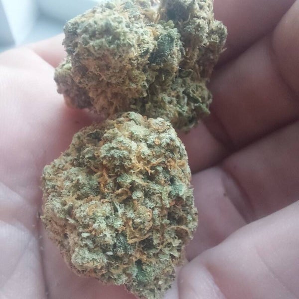King LA Haze