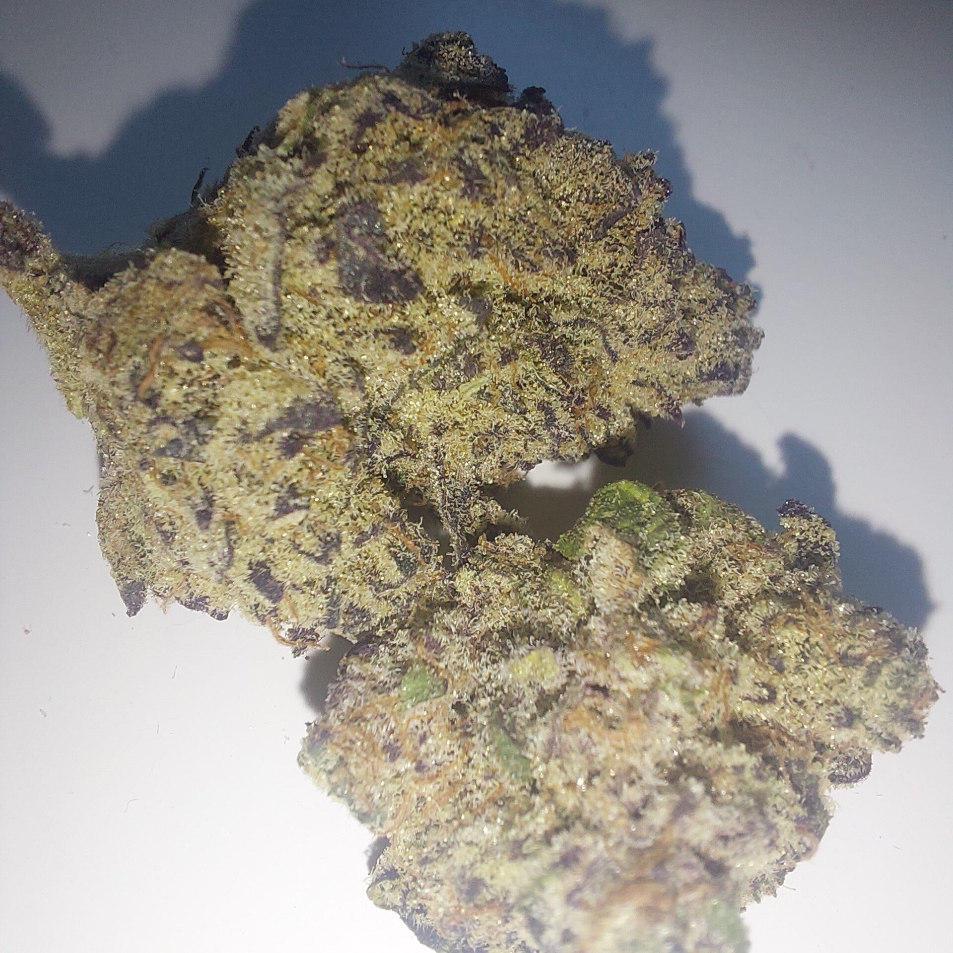 Cali black Cherry punch