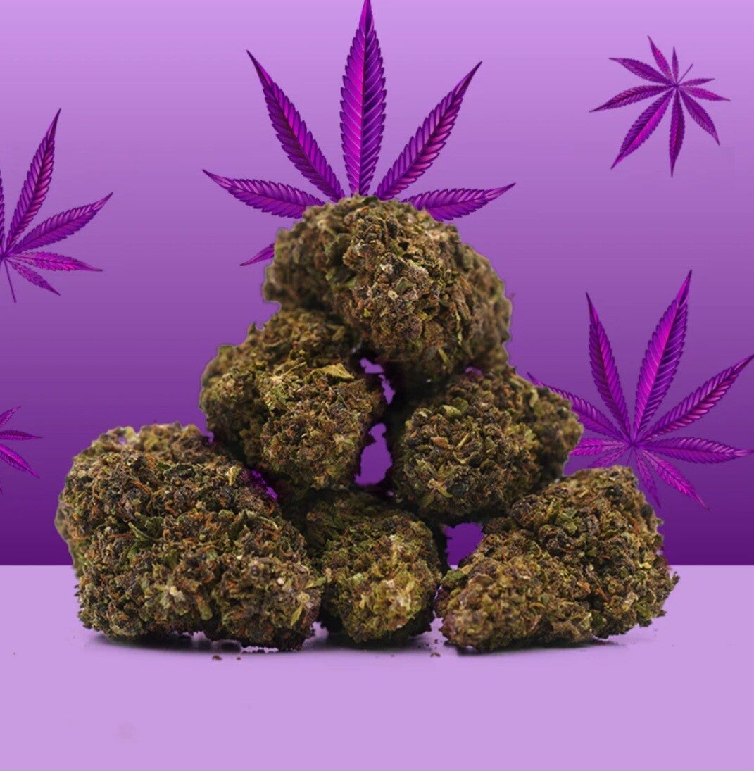 Purple king L.A