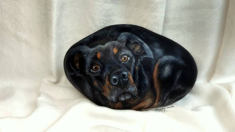 dobermann-standard.jpg