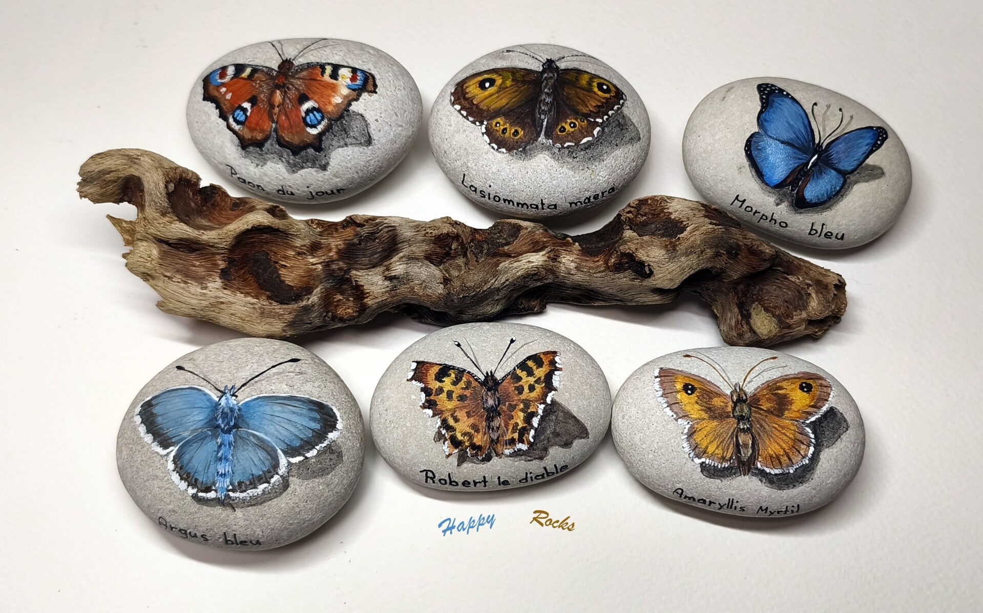 Papillons vendus à l'unité