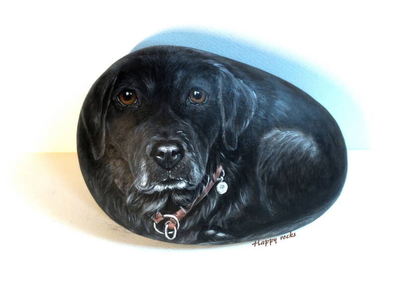 portrait-dun-labrador_51200254170_o-standard.jpg