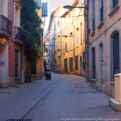 img_4332-standard.jpg