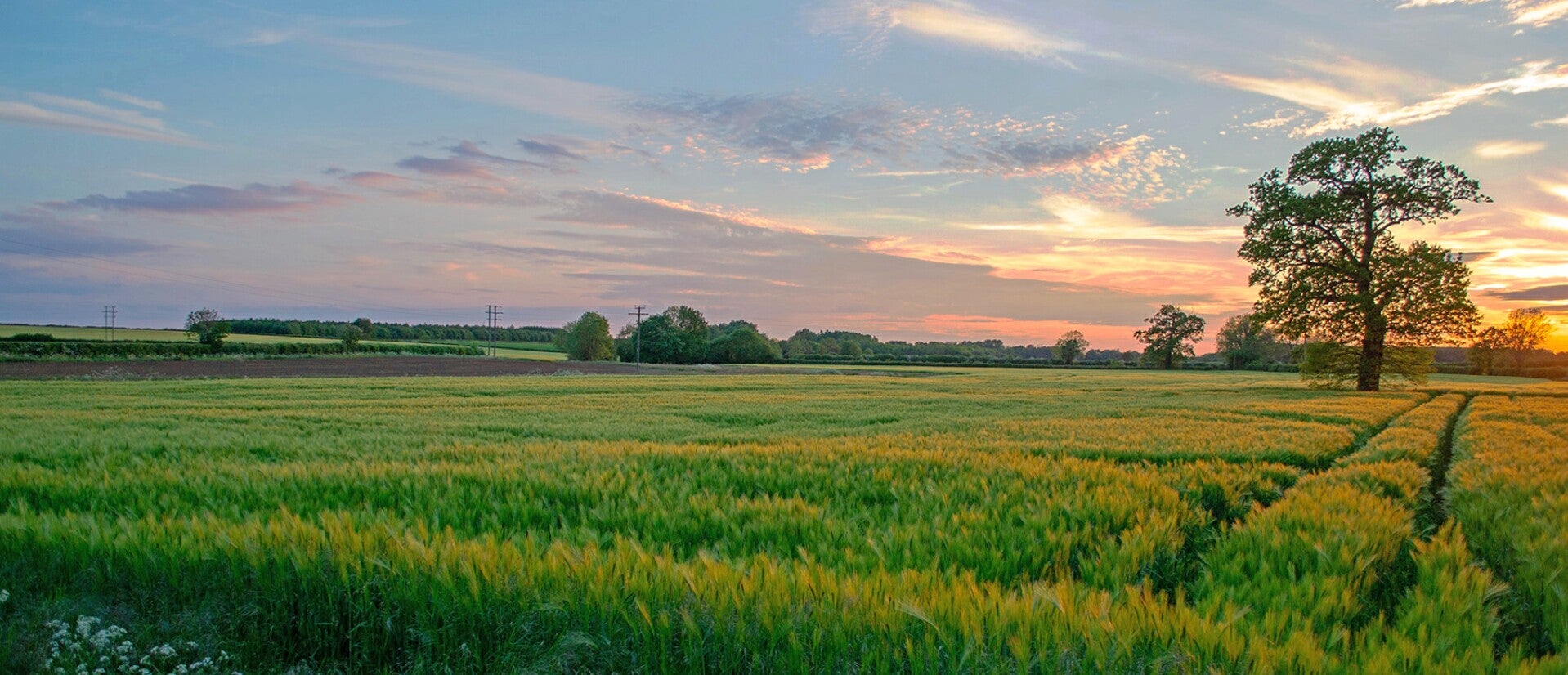 birrificio artigianale che usa prodotti agricoli locali