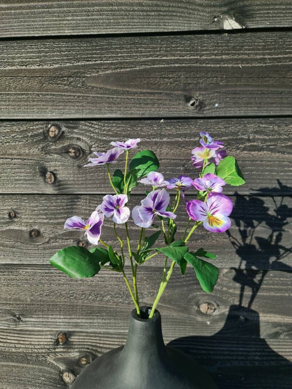 Viooltje - 2 kleuren