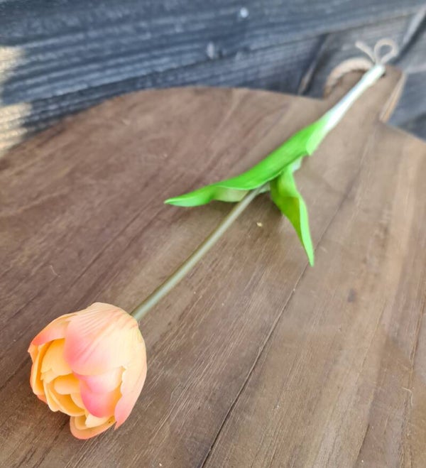 Tulpen licht oranje - 2 soorten