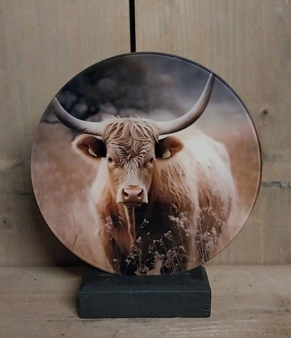 Foto schilderijtje van glas