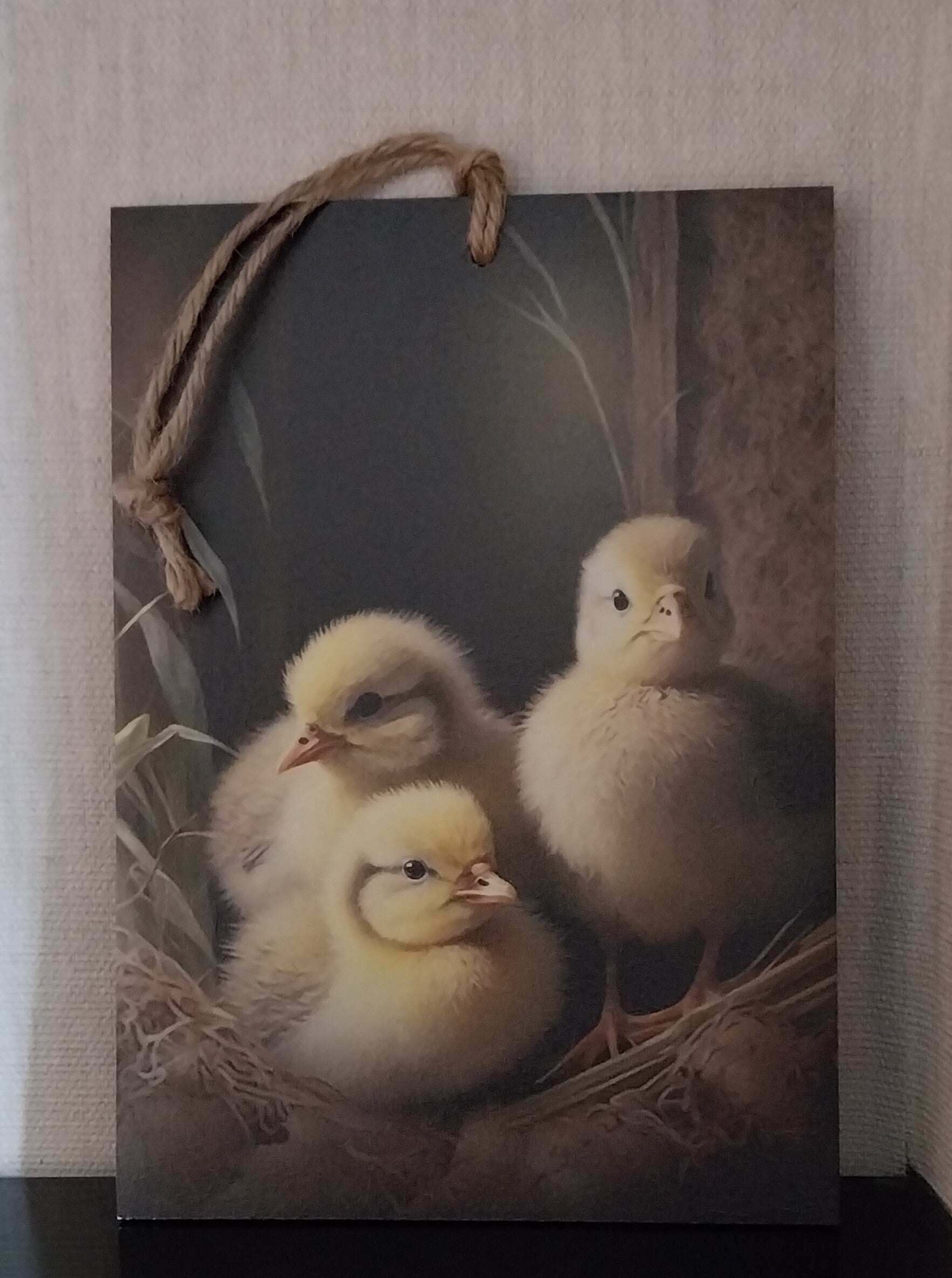 Deco schilderijtje kuikentjes