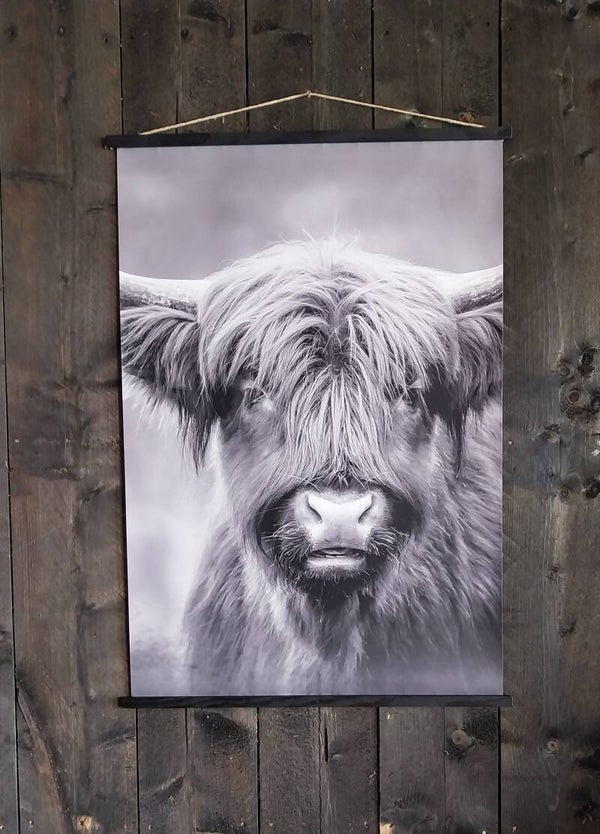 Tuin posters schotse hooglander zwart/wit