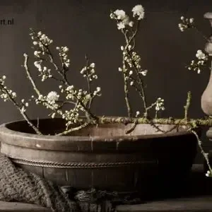 Spatscherm bak witte bloesem