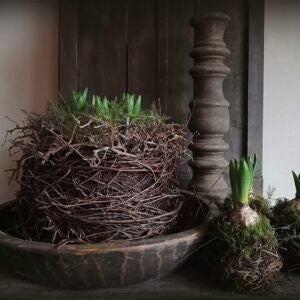 Spatscherm lente nestje