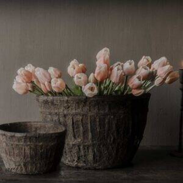 Spatscherm lente roze tulpen