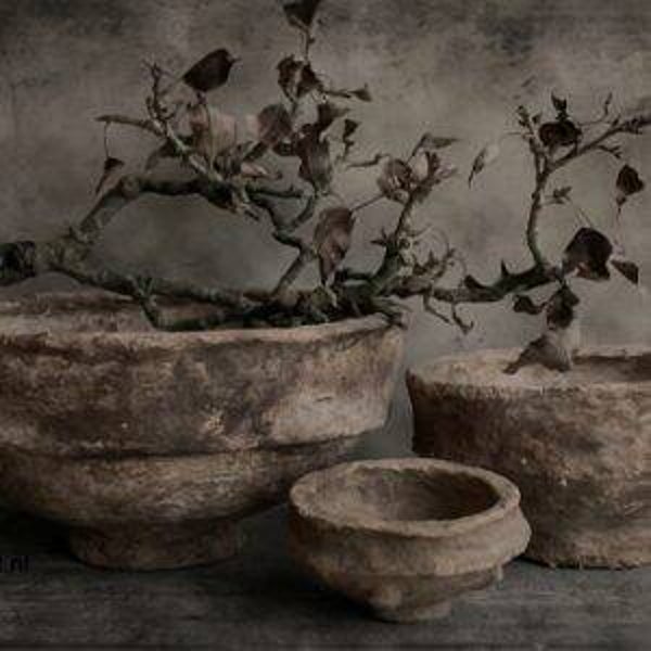 Spatscherm lichte potten met tak