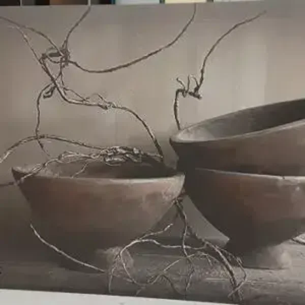 Spatscherm sobere kommen