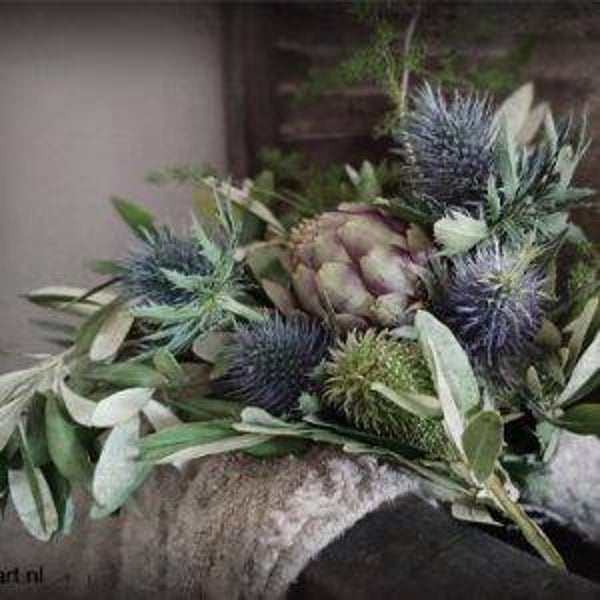 Spatscherm toef distel