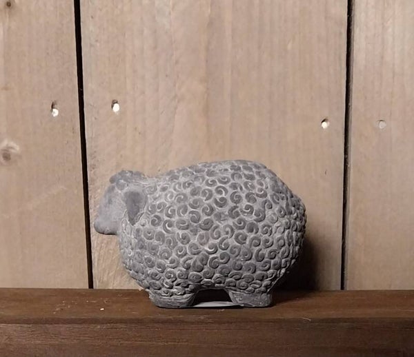 Schaapje - Klein vooruitkijken