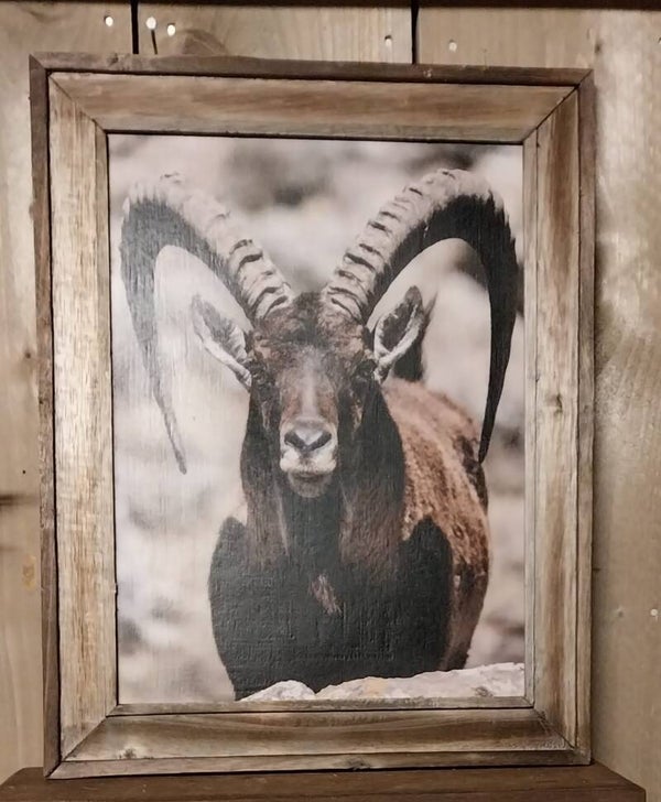 Schilderij geit - Groot