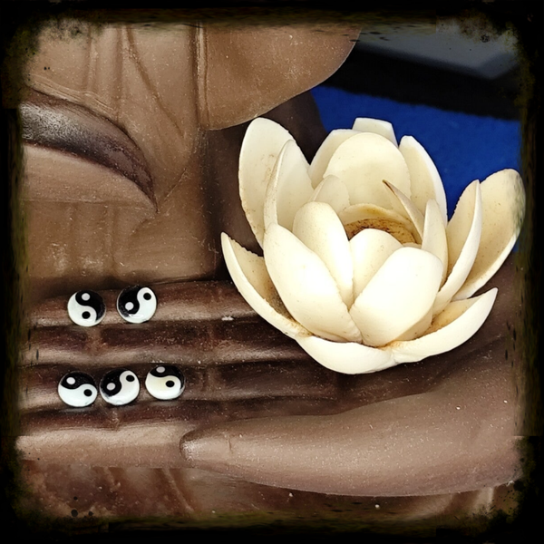 Intercalaires oeil st Lucie / nacre ying yang