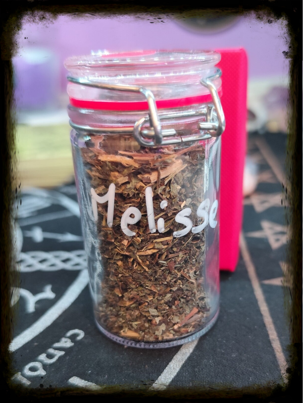Mélisse (Melissa officinalis) - Douceur et Sérénité Naturelles