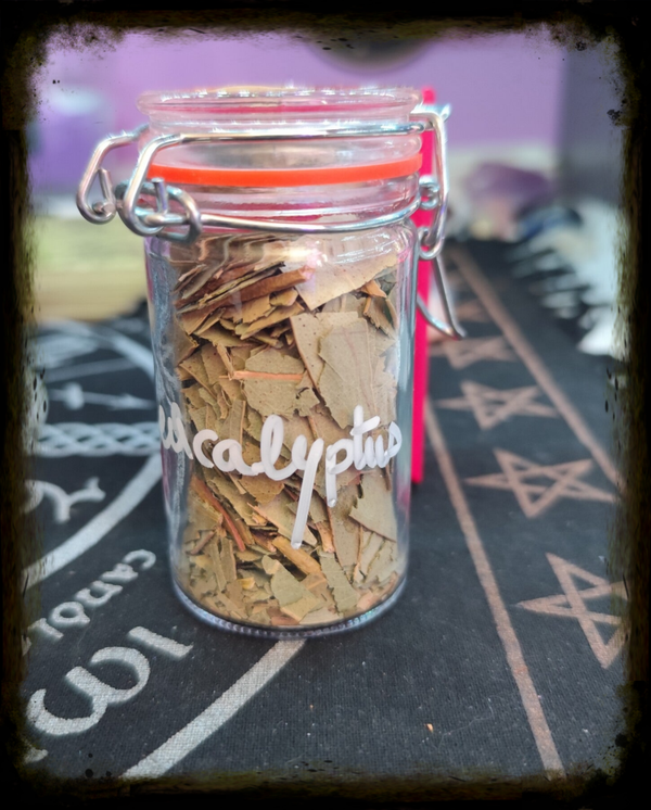 Eucalyptus en Rituel : Clarté, Purification et Respiration Spirituelle