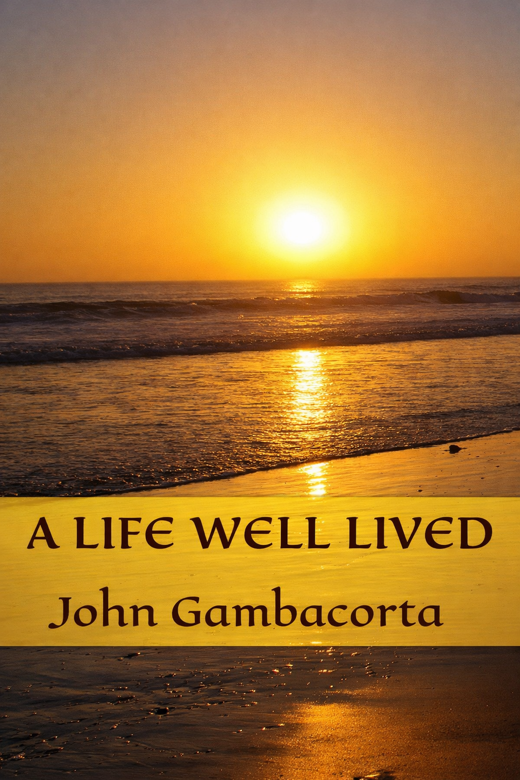 A Life Well Lived Cover
