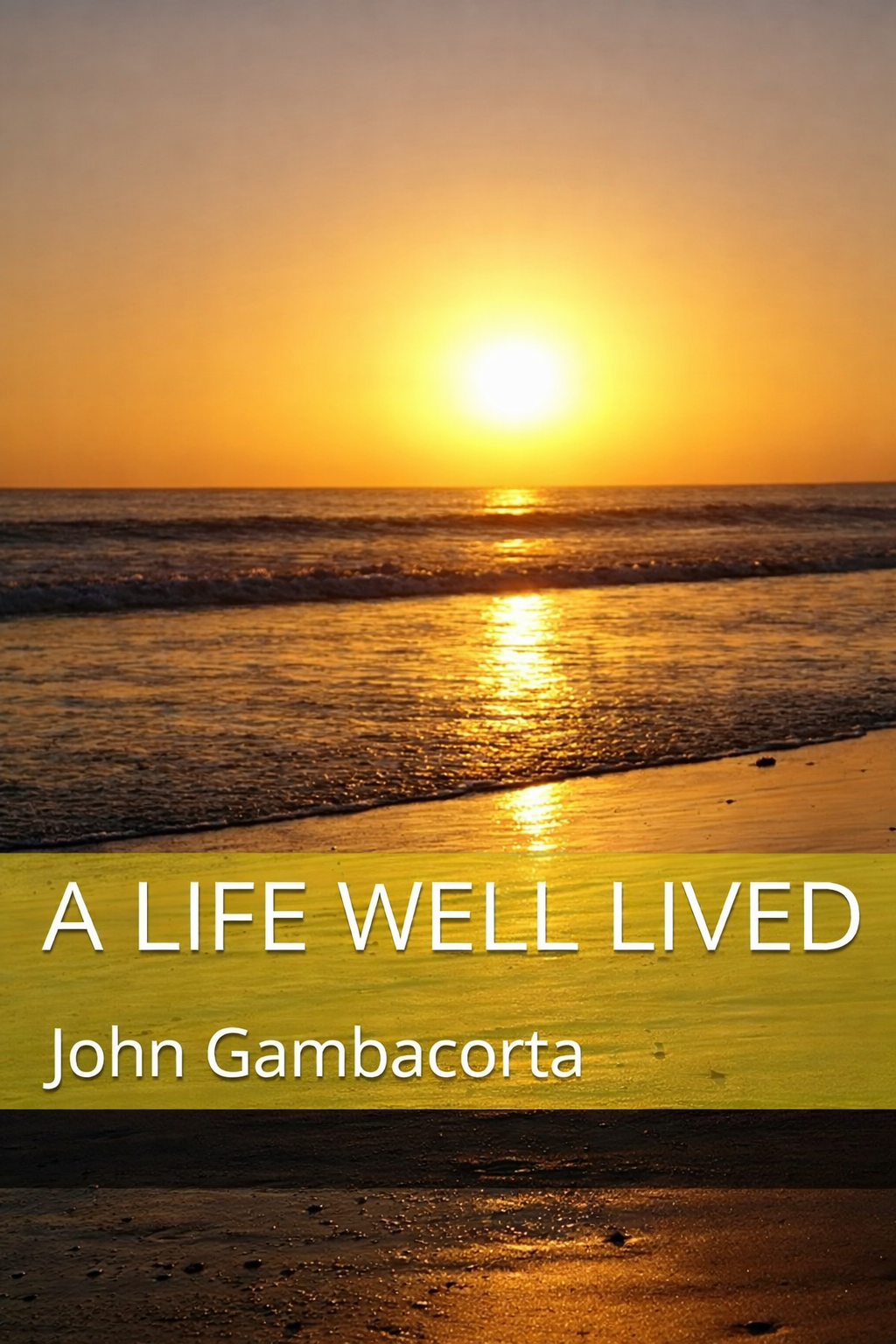 A Life Well Lived trauma memoir cover photo