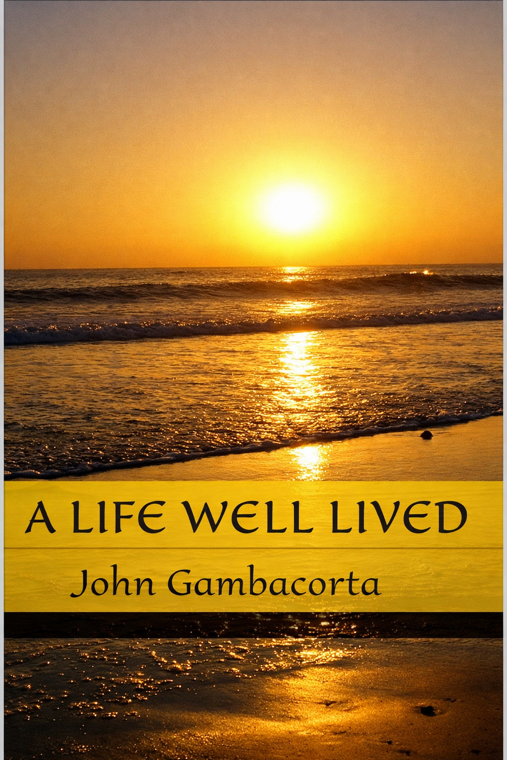 A Life Well Lived Cover
